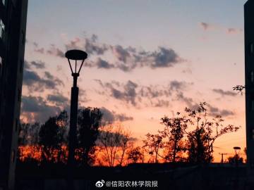 多晶硅期货今日在广期所挂牌上市